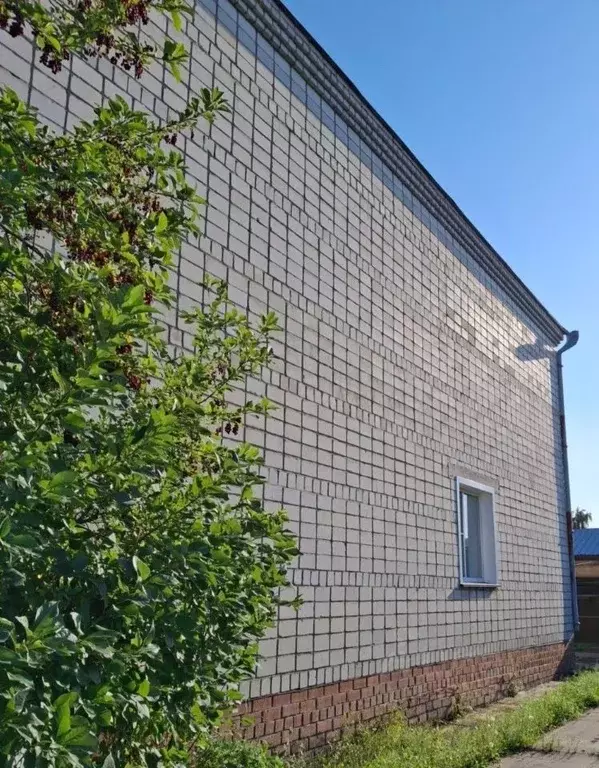 Коттедж в Новосибирская область, Купино ул. Островского (210 м) - Фото 2