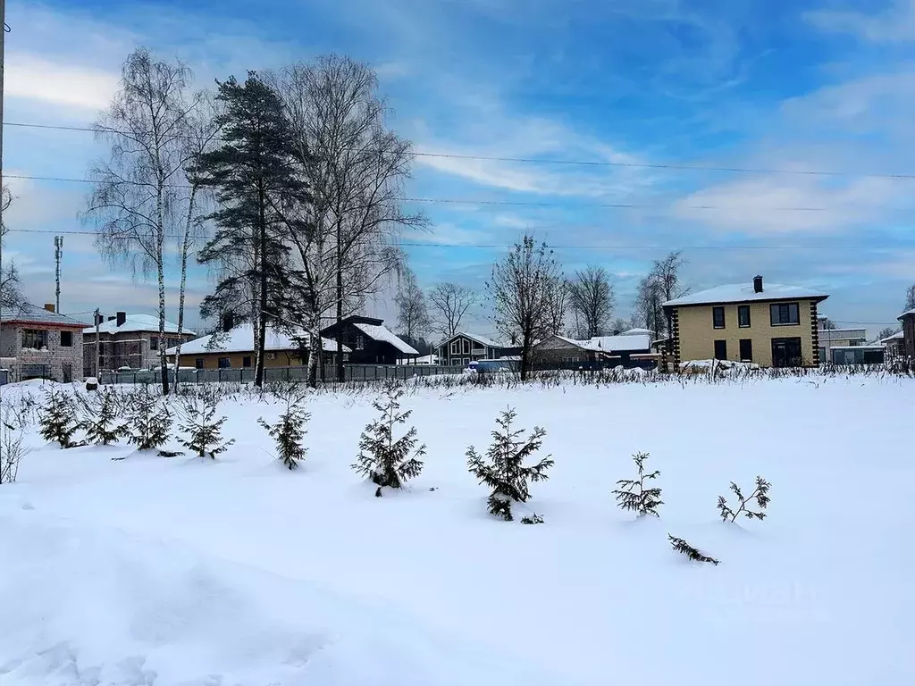 Участок в Московская область, Королев Первый кп, 58 (10.1 сот.) - Фото 1