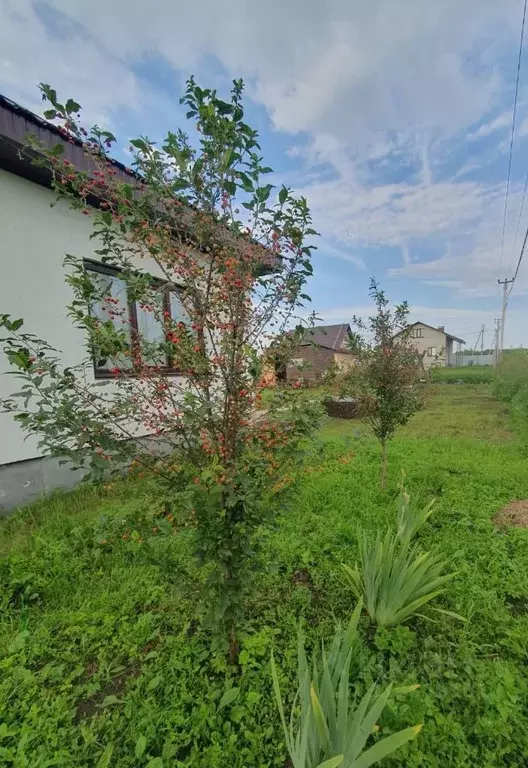 Дом в Башкортостан, Иглинский район, Акбердинский сельсовет, ... - Фото 1