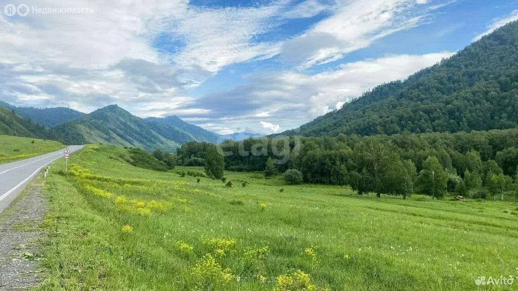 Участок в Шебалинский район, село Мыюта (12.9 м) - Фото 0