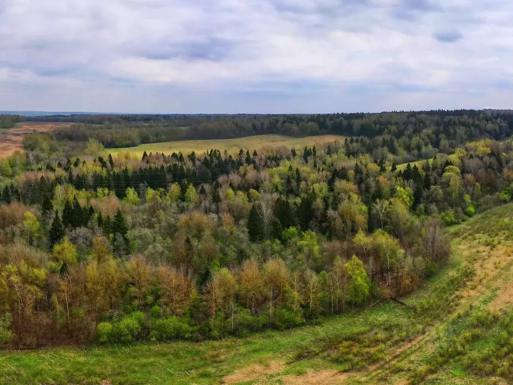 Участок в Московская область, Клин городской округ, д. Соголево  (6.0 ... - Фото 1