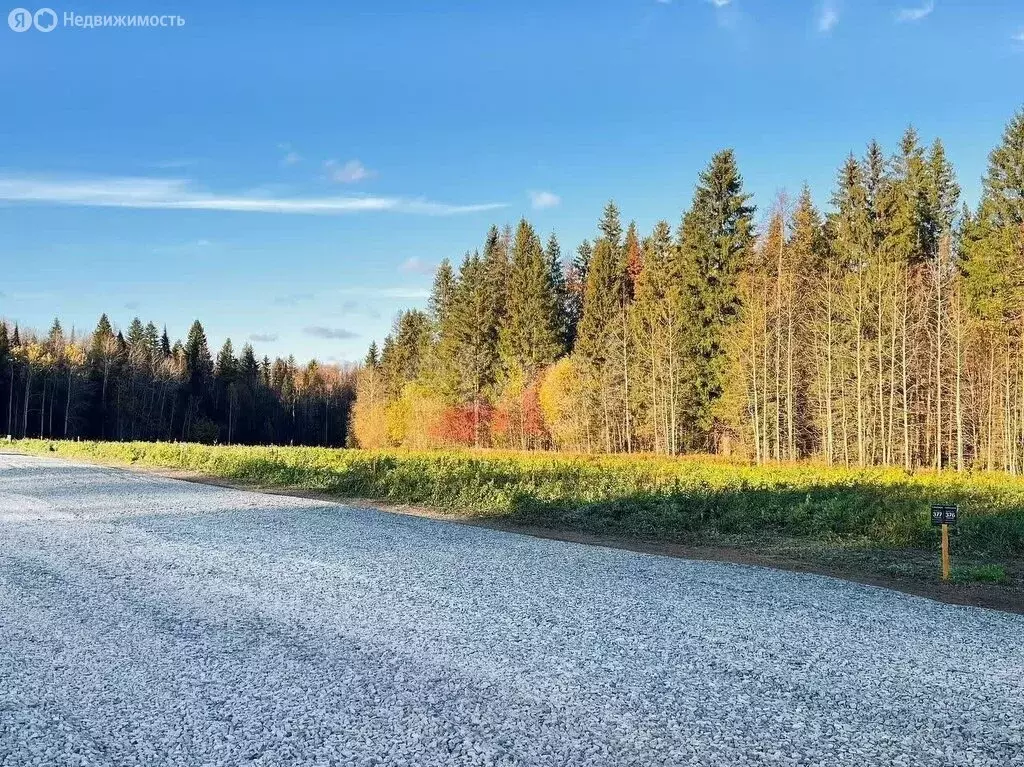 Участок в Пермский муниципальный округ, деревня Софроны (11.24 м) - Фото 0