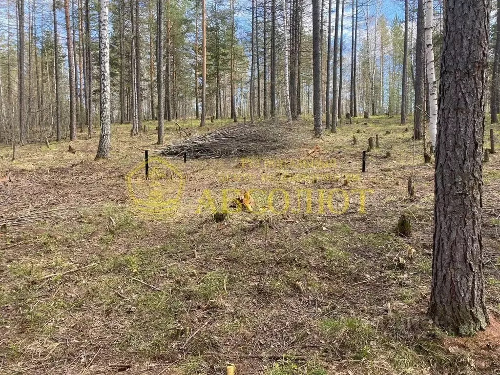 Участок в Свердловская область, Дегтярск  (16.0 сот.) - Фото 0