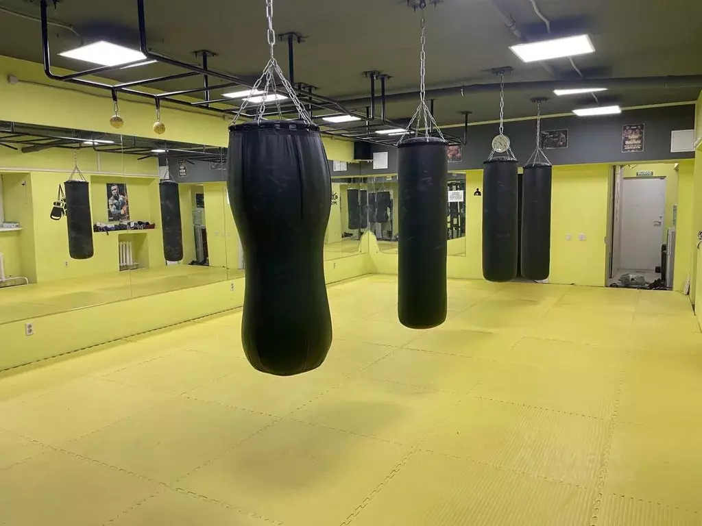 Помещение свободного назначения в Кировская область, Киров ул. ... - Фото 1