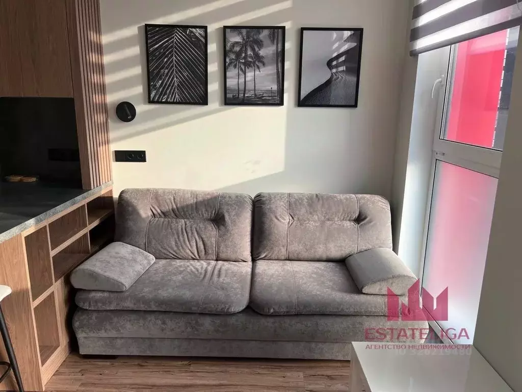 Студия Москва просп. Прокшинский, 7 (24.0 м) - Фото 2