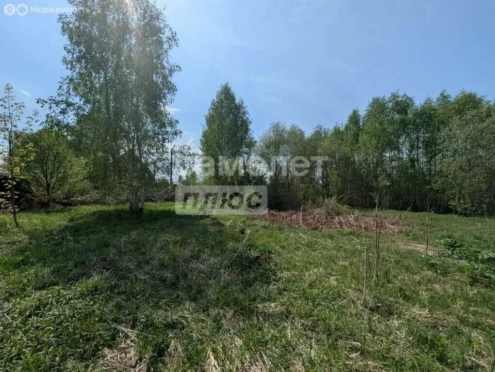 Участок в Московская область, городской округ Солнечногорск, посёлок ... - Фото 0