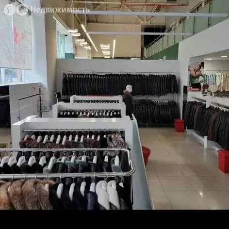 Помещение свободного назначения (250 м) - Фото 2