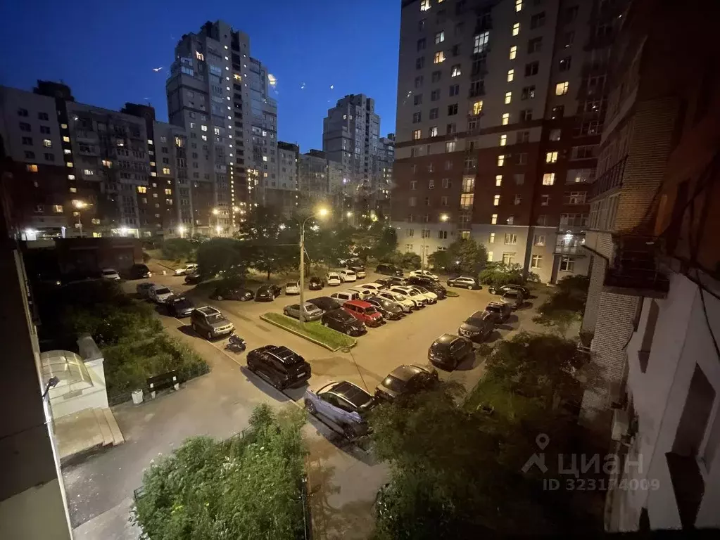 2-к кв. Санкт-Петербург просп. Просвещения, 33к1 (65.0 м) - Фото 2