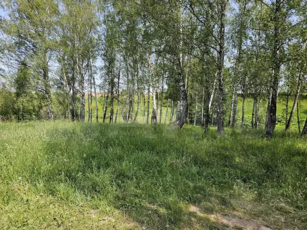 Участок 14,55 га (СНТ, ДНП) - Фото 1