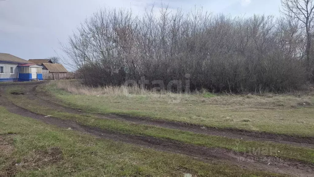 Участок в Воронежская область, Грибановский район, с. Листопадовка ... - Фото 1