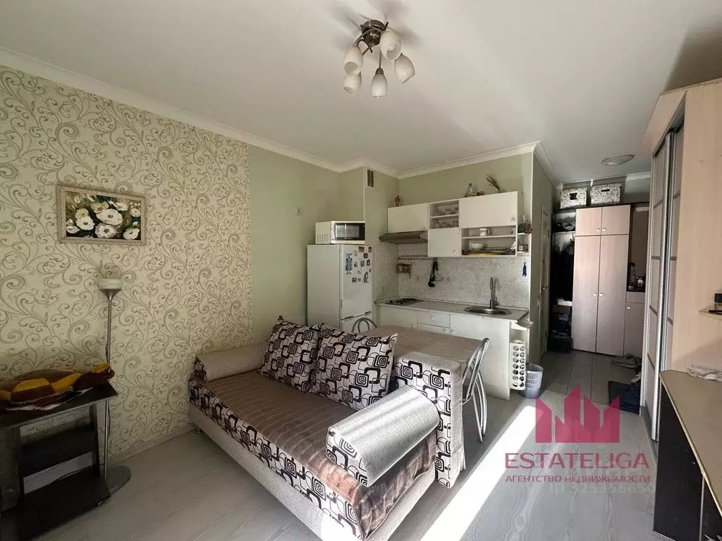 Студия Московская область, Ленинский городской округ, Лопатино пгт ул. ... - Фото 1