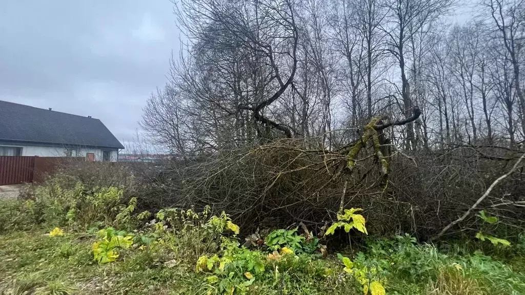 Участок в Московская область, Истра ул. Ленина, Река Истра (12.0 сот.) - Фото 2