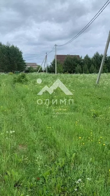 Участок в Вологодская область, Усть-Кубинский муниципальный округ, д. ... - Фото 2