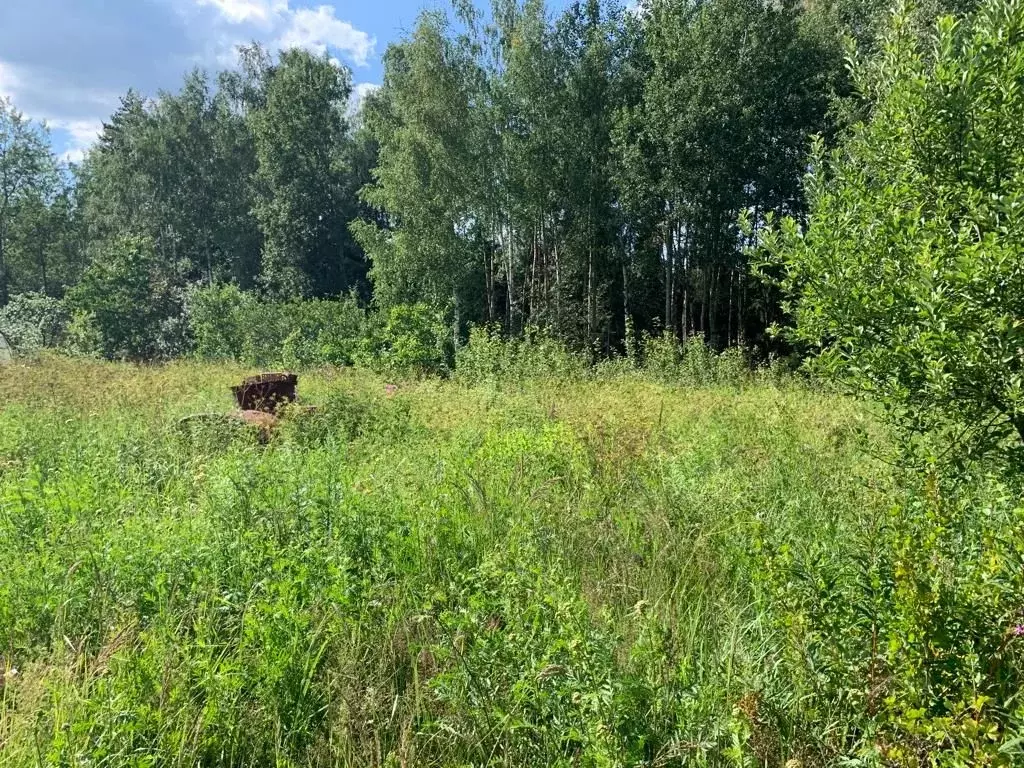 Участок в Московская область, Щелково городской округ, Эколог садовое ... - Фото 0