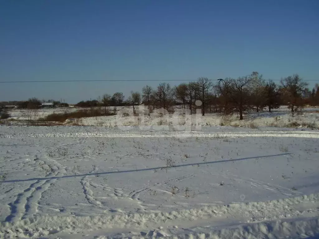 Участок в Брянская область, Брянский район, Новодарковичское с/пос, д. ... - Фото 1