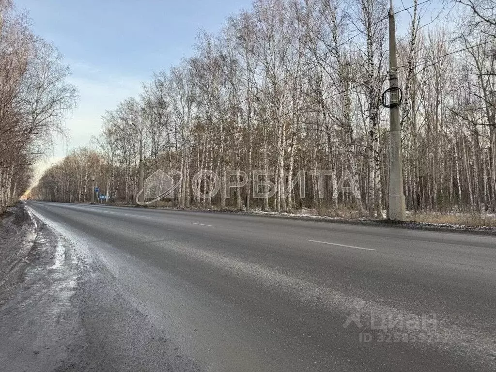 Участок в Тюменская область, Нижнетавдинский муниципальный округ, с. ... - Фото 2