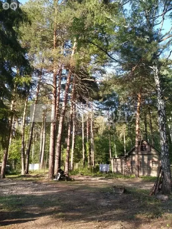 Участок в Новосибирск, 2-й жилой посёлок Заельцовский Бор, 2 (7.5 м) - Фото 2