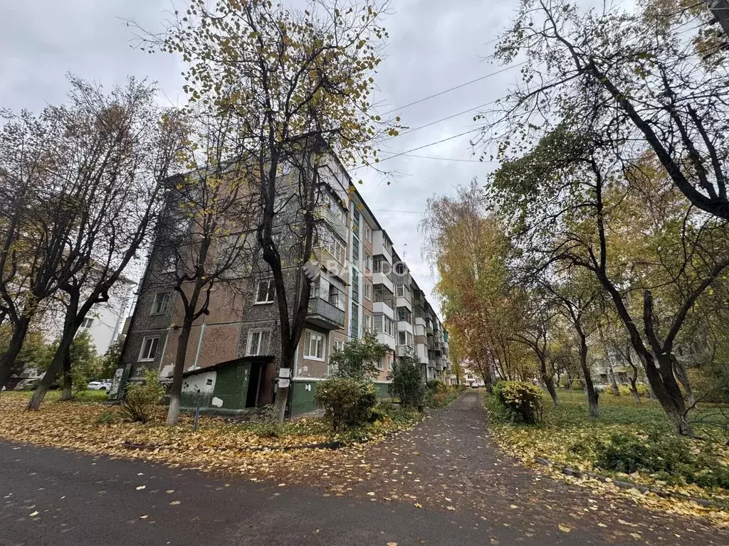 3-к кв. Брянская область, Брянск проезд 2-й Станке Димитрова, 5 (54.8 ... - Фото 1