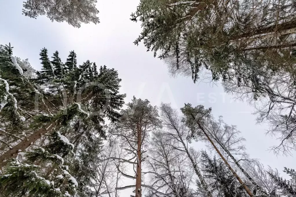 Участок в Ленинградская область, Выборгский район, Первомайское с/пос, ... - Фото 2