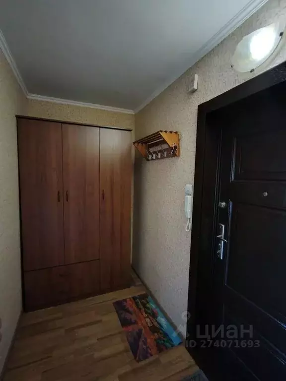1-к кв. Алтайский край, Барнаул Молодежная ул., 54 (31.0 м) - Фото 1