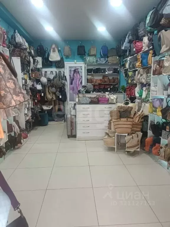 Помещение свободного назначения в Крым, Евпатория просп. Победы, 59 ... - Фото 1