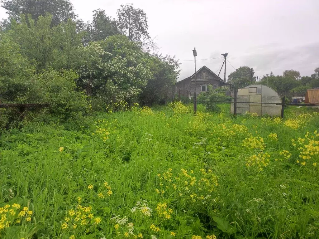 Участок в Московская область, Клин городской округ, д. Максимково ... - Фото 1