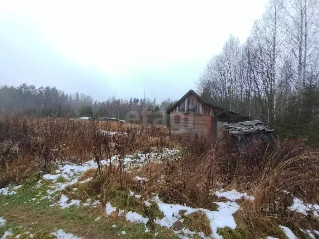 Участок в Костромская область, Костромской район, Кузнецовское с/пос, ... - Фото 1