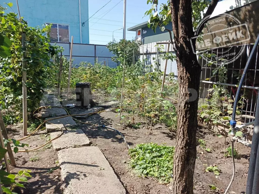 Помещение свободного назначения в Ростовская область, Ростов-на-Дону ... - Фото 1