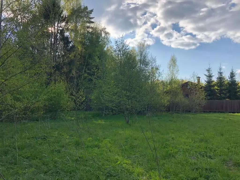 Участок в Московская область, Дмитровский муниципальный округ, д. ... - Фото 2