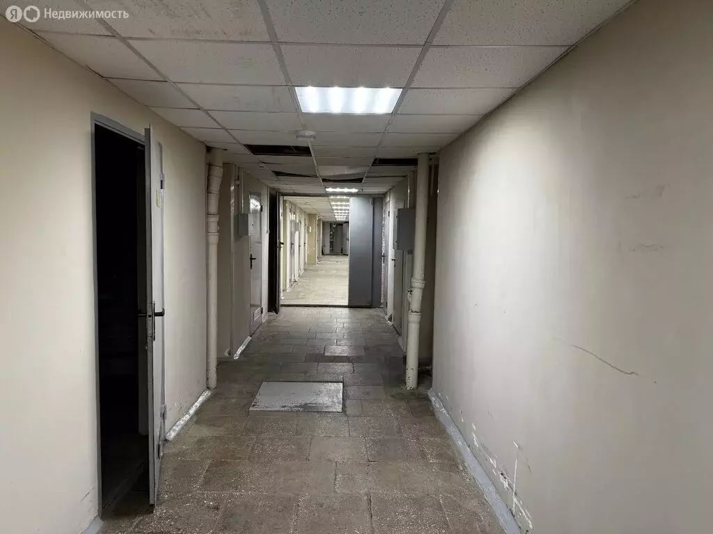 Офис (35.8 м) - Фото 2