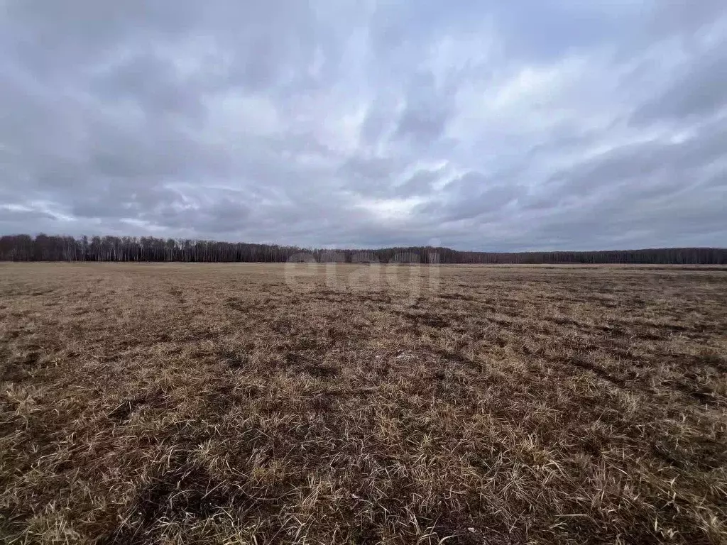 Участок в Московская область, Ступино городской округ, д. Заворыкино ... - Фото 2