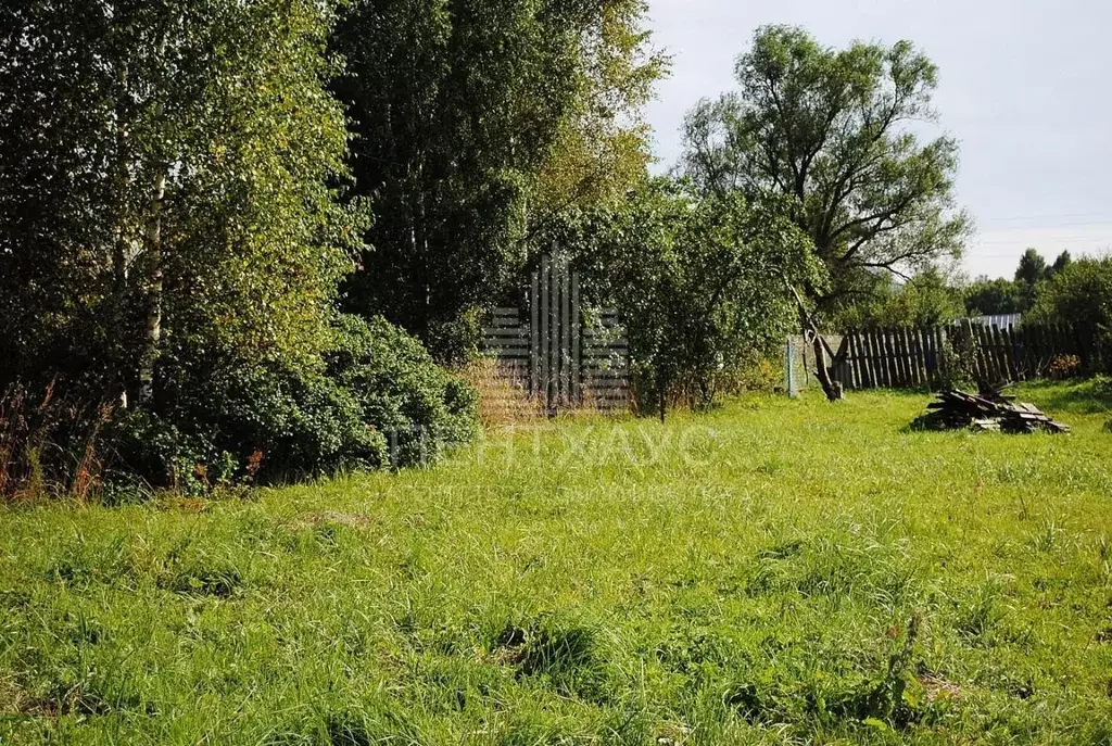Участок в Владимирская область, Судогодский район, Андреевское ... - Фото 1