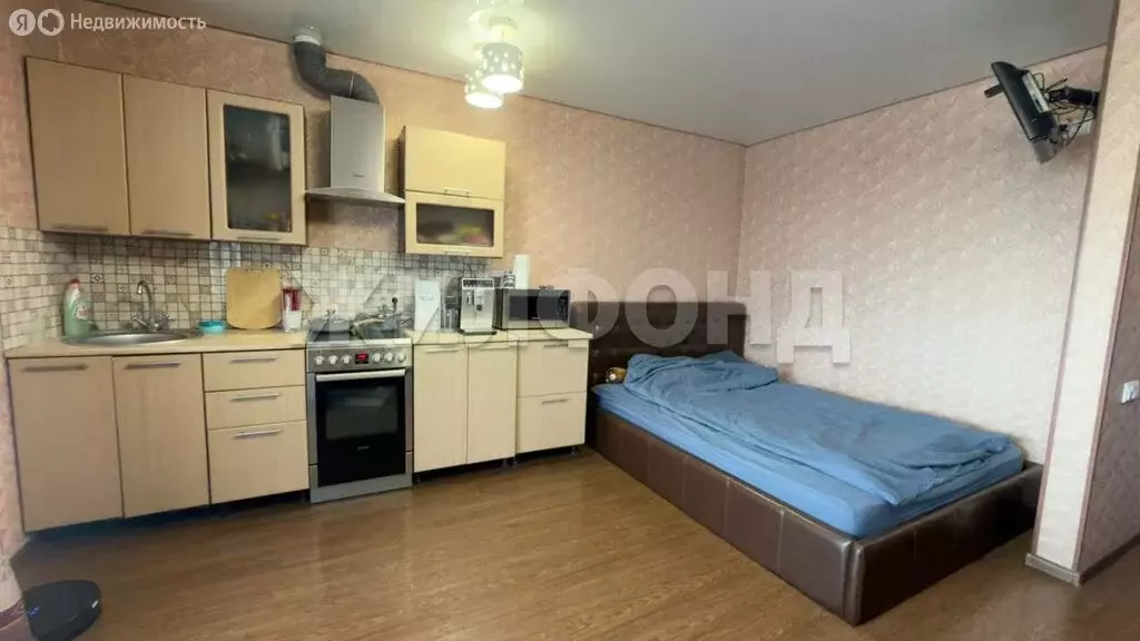 Квартира-студия: Новосибирск, Большевистская улица, 104 (29.7 м) - Фото 2