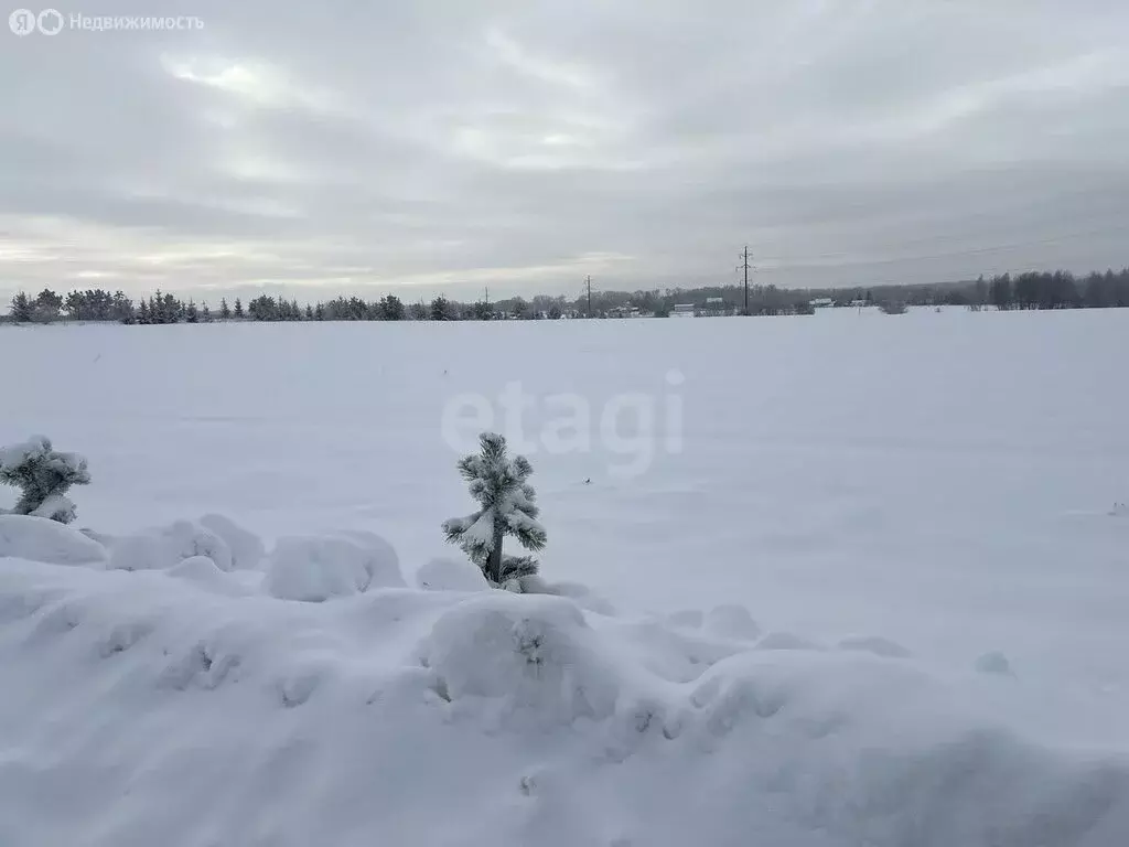 Участок в Тульская область, городской округ Алексин, деревня Хатманово ... - Фото 2