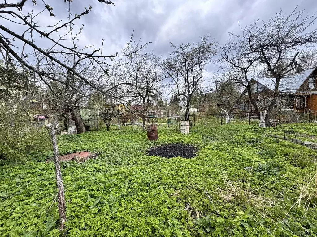 Участок в Московская область, Сергиев Посад Салют МИД России СНТ, ул. ... - Фото 2
