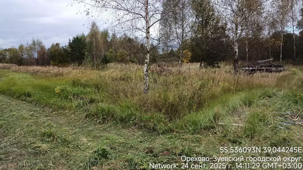 Участок в Московская область, Орехово-Зуевский городской округ, д. ... - Фото 1