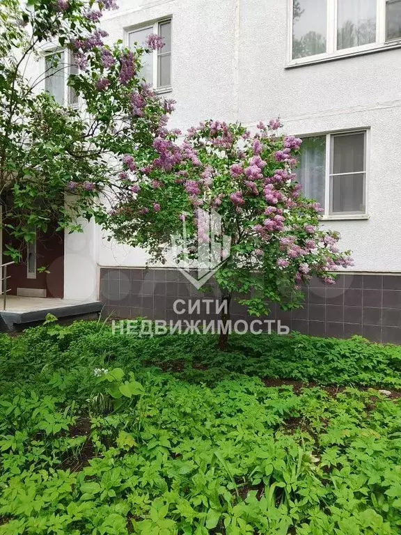 1-к. квартира, 36 м, 2/12 эт. - Фото 0