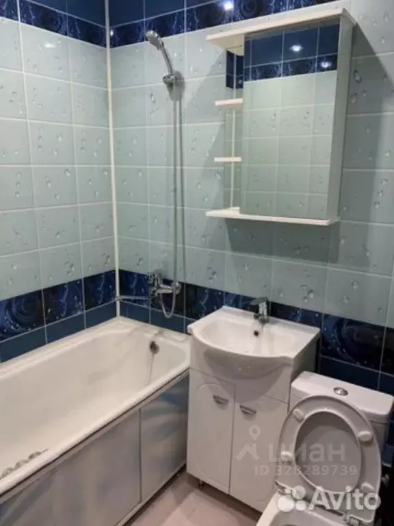 1-к кв. Московская область, Клин Ленинградское ш., 44 (36.0 м) - Фото 2