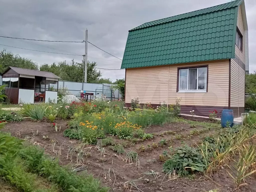 Купить Дачу В Курске Сосновый Бор