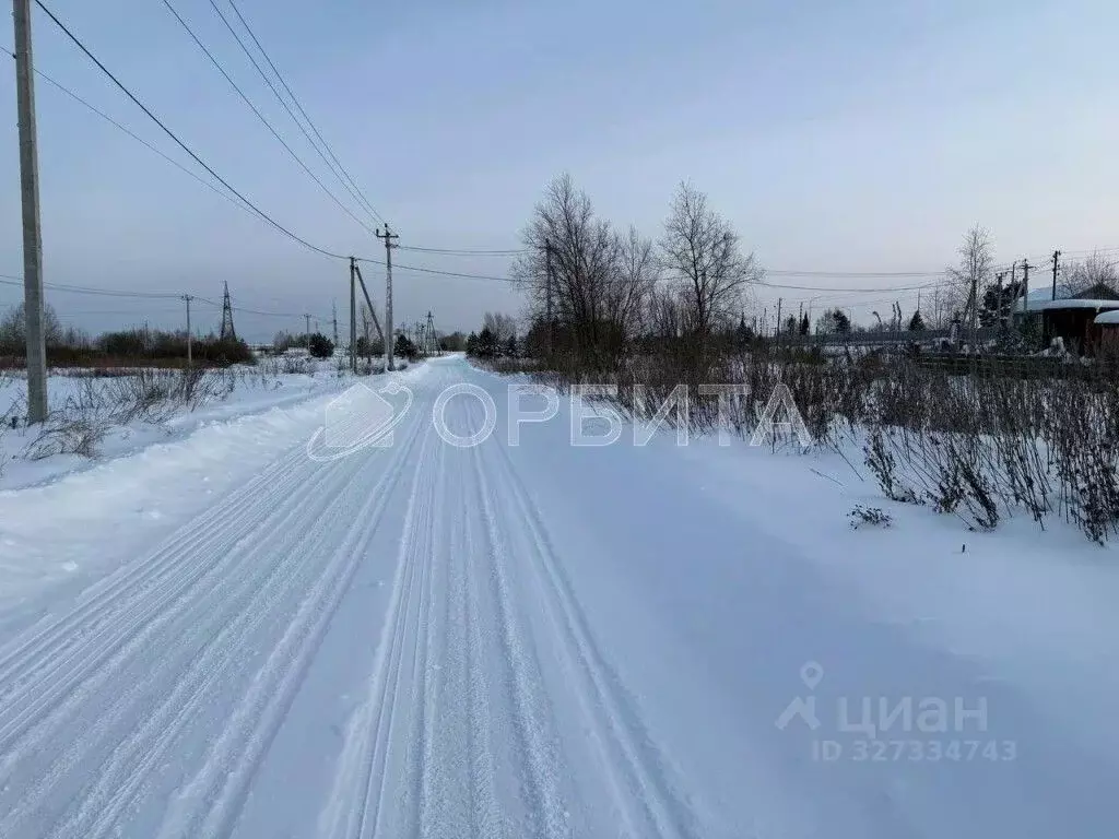 Участок в Тюменская область, Тюменский муниципальный округ, с. ... - Фото 1
