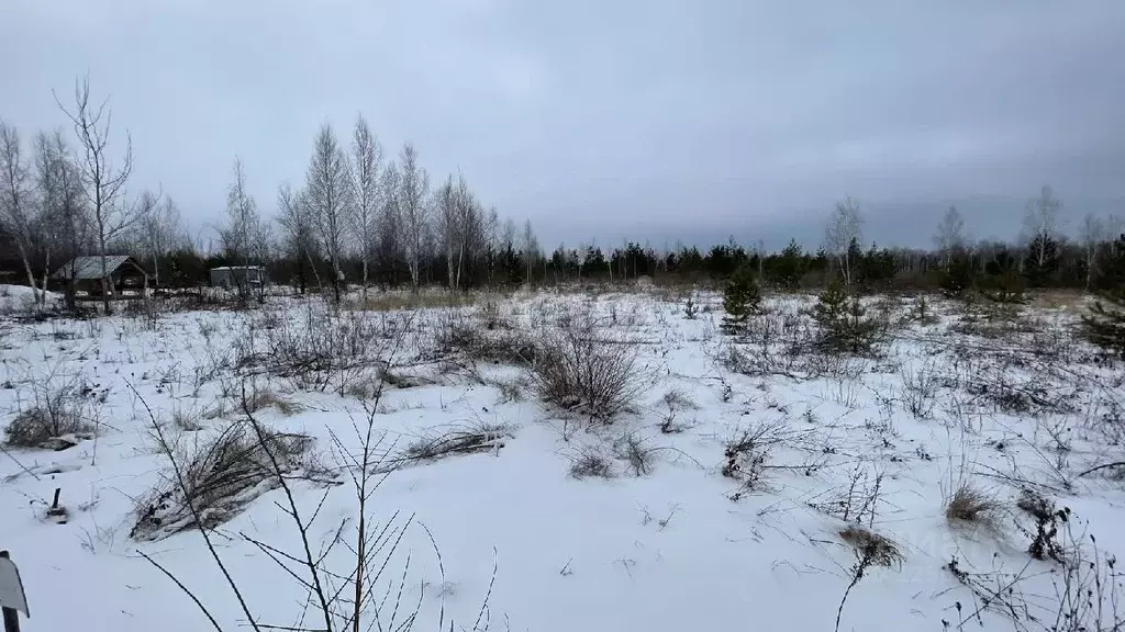 Участок в Воронежская область, Новоусманский район, с. Бабяково ул. ... - Фото 1