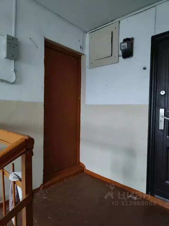 3-к кв. Новгородская область, Сольцы г. Солецкий муниципальный округ, ... - Фото 1
