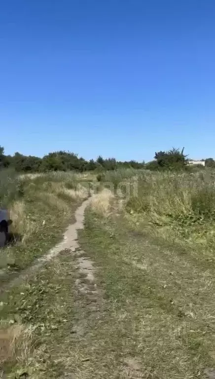 Участок в Калининградская область, Светлогорский городской округ, пос. ... - Фото 1