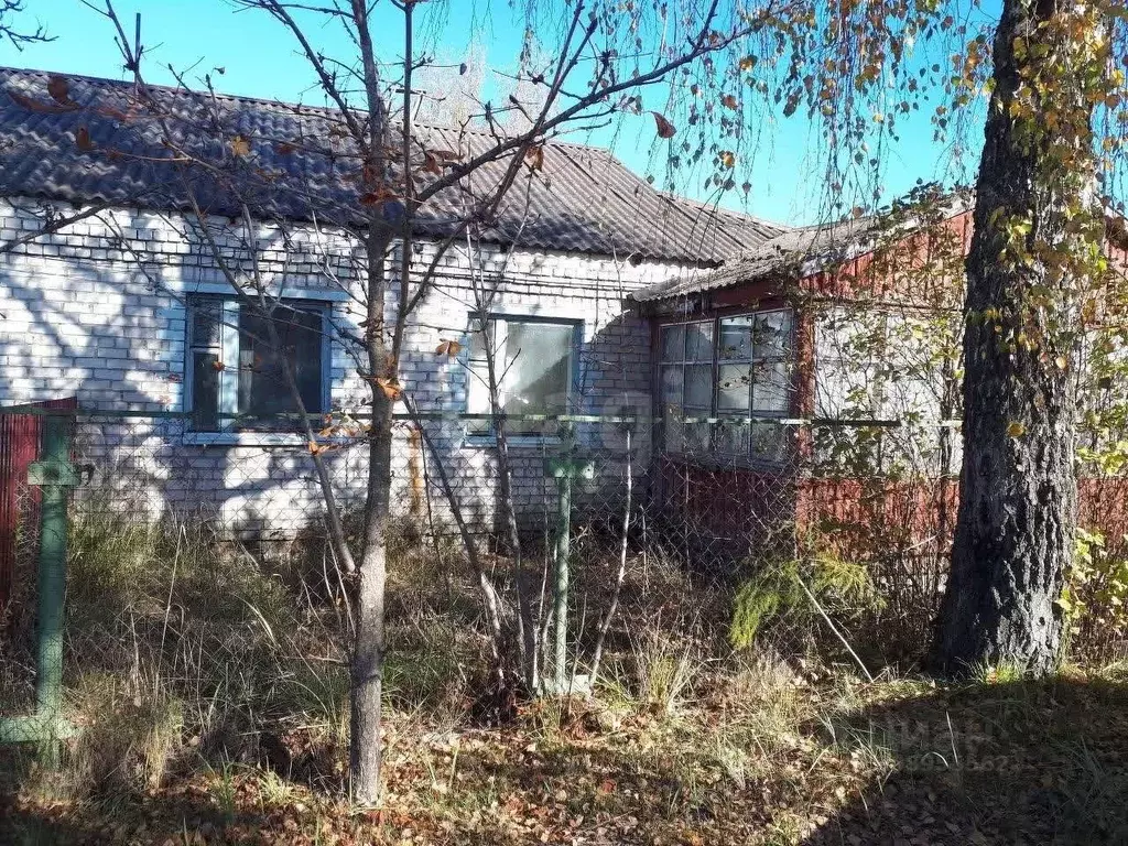 Дом в Брянская область, Брянский район, Отрадненское с/пос, с. ... - Фото 1