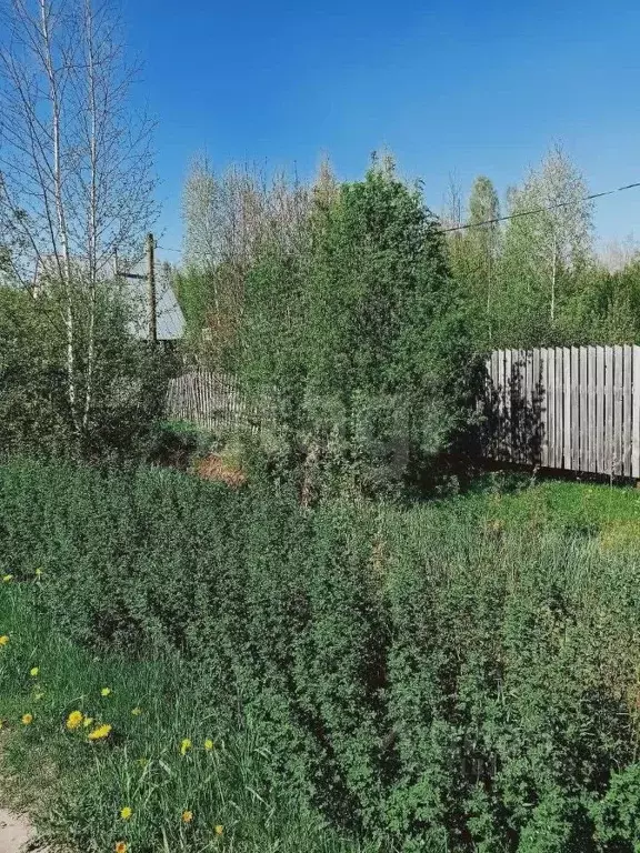 Участок в Кировская область, Юрьянский район, Загарское с/пос, ... - Фото 1