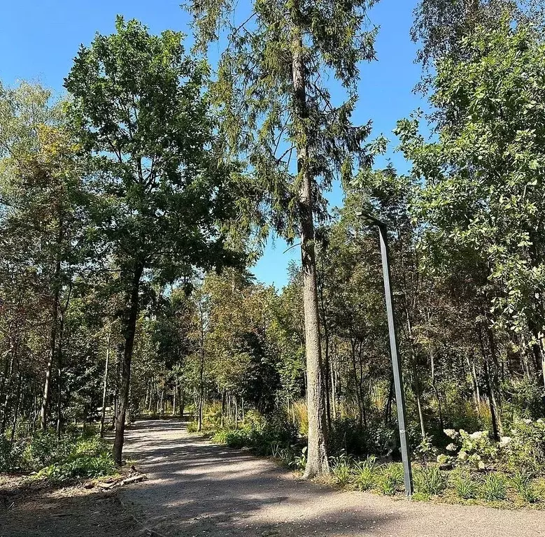 Участок в Московская область, Одинцовский городской округ, пос. ... - Фото 2