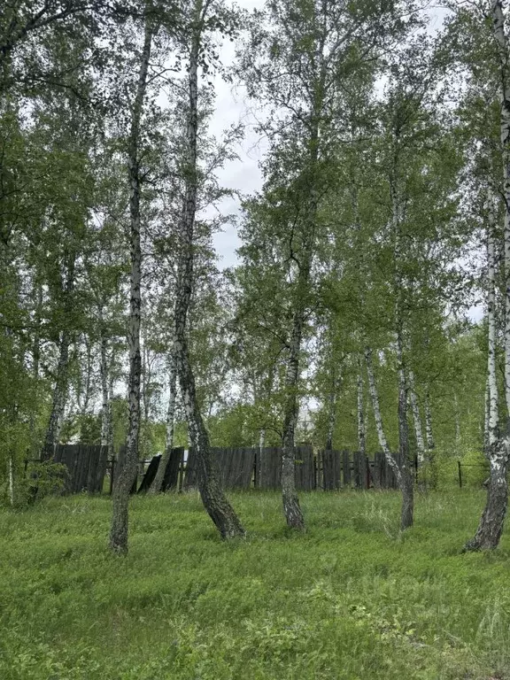 Участок в Курганская область, Кетовский муниципальный округ, д. Лукино ... - Фото 1