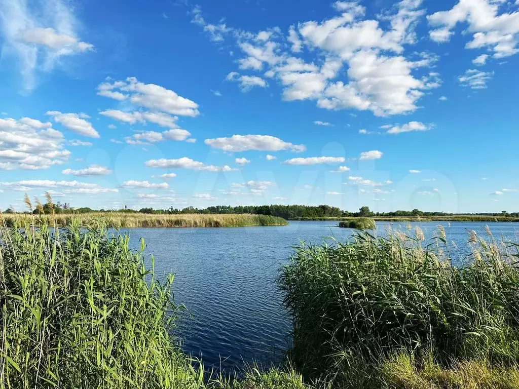 Дом 64,9 м на участке 25 сот. - Фото 1