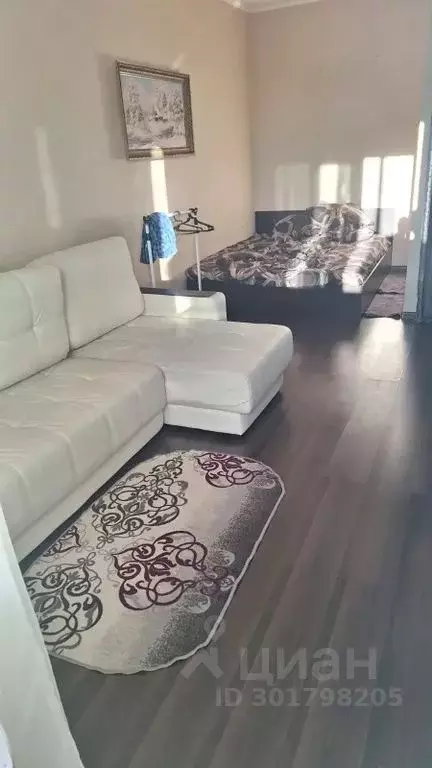 1-к кв. Московская область, Ногинск Богородский городской округ, ... - Фото 2