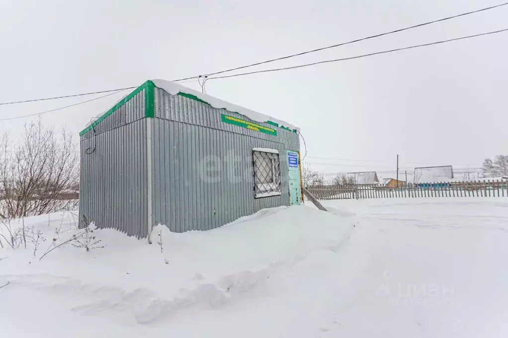 Участок в Новосибирская область, Искитимский район, Чернореченский ... - Фото 1